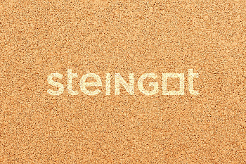 ���������� ������ Steingot ������ "���������" (������� �������)